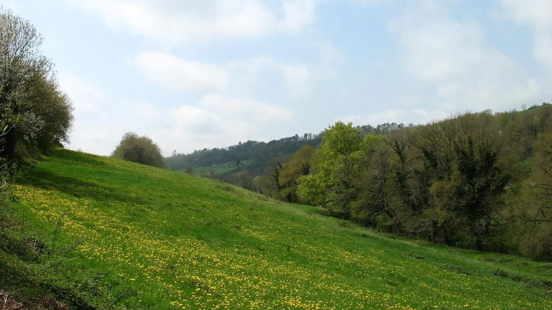 Gite La Maison Du Meunier Montredon-Labessonnié Franciaország